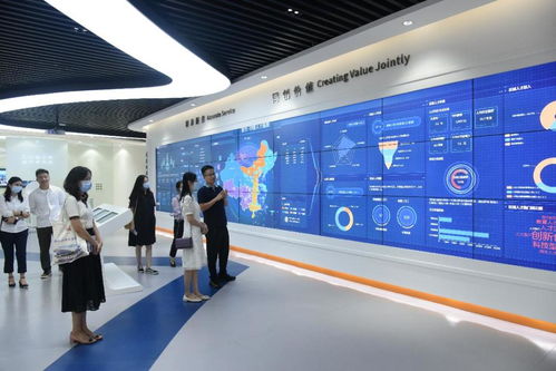 绵阳科技城科技服务有限责任公司总经理白永淑一行莅临园区，共商信息技术咨询服务发展