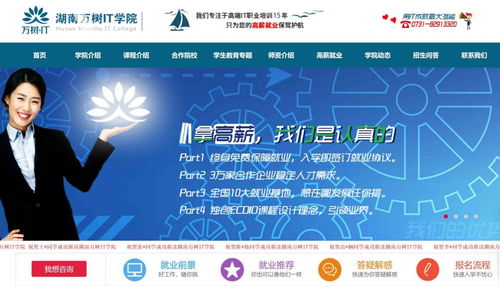 信息技术咨询服务 电脑IT技术培训学校如何通过海量信息霸屏获取生源咨询